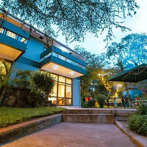 Pangolin Nest Boutique Homestay
